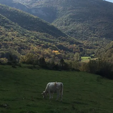 Casa rural Mas Molladar