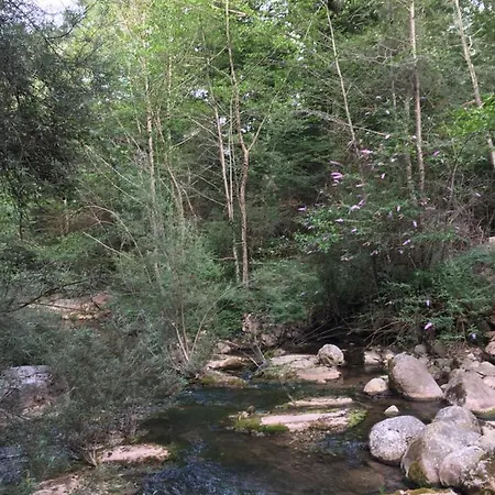 Casa rural Mas Molladar *